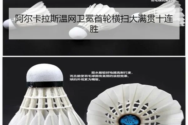 a-er-ka-la-si-wen-wang-wei-mian-shou-lun-heng-sao-da-man-guan-shi-lian-sheng-2-384.jpg