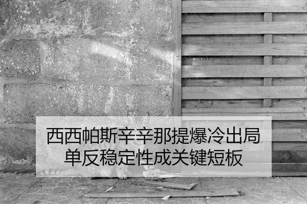 西西帕斯辛辛那提爆冷出局 单反稳定性成关键短板