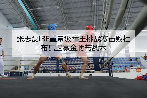 张志磊IBF重量级拳王挑战赛击败杜布瓦卫冕金腰带战术
